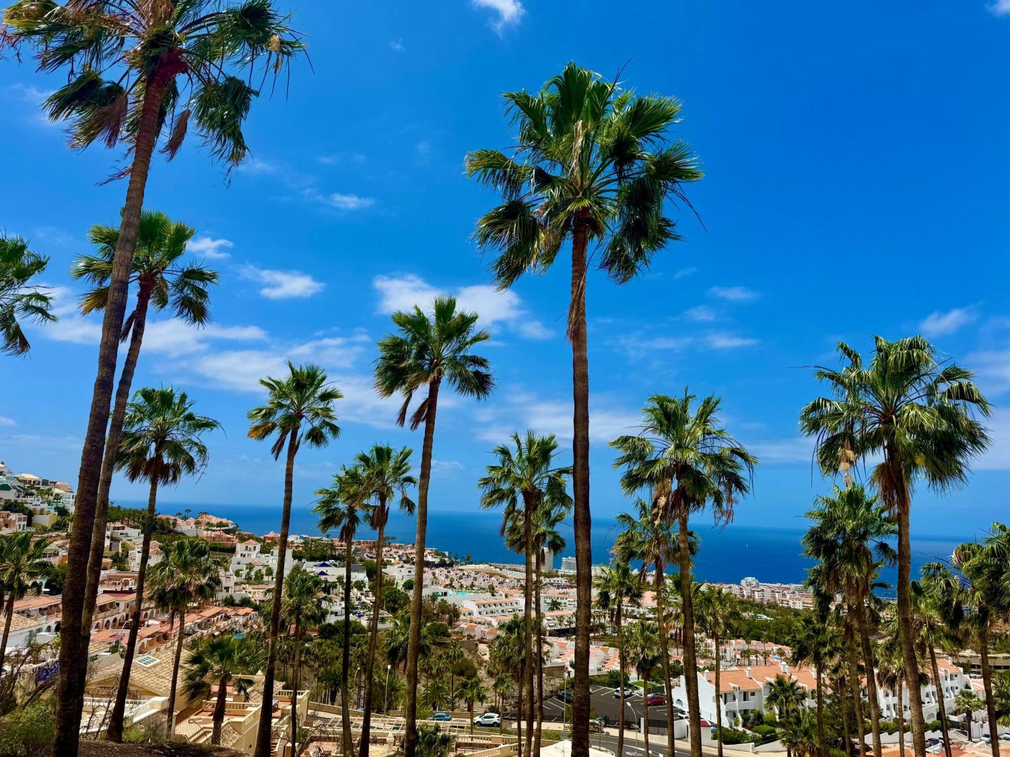 San Eugenio Charming Renovated Apartment Tenerife Costa Adeje  Exterior photo