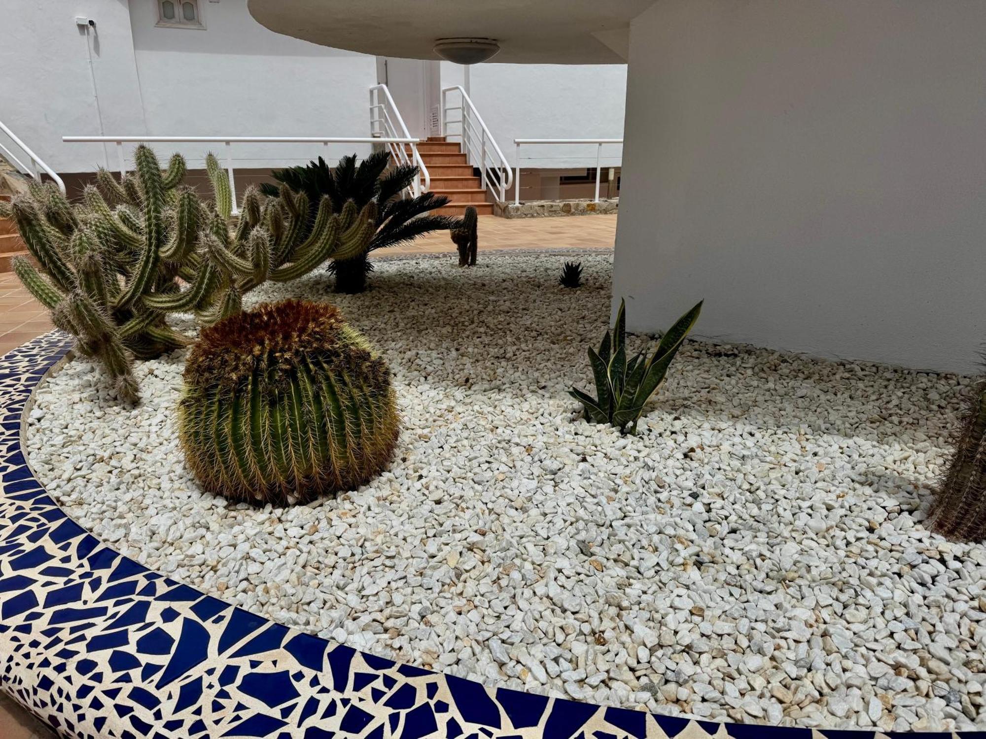 San Eugenio Charming Renovated Apartment Tenerife Costa Adeje  Exterior photo